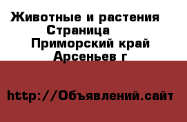  Животные и растения - Страница 40 . Приморский край,Арсеньев г.